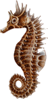 seahorse logo